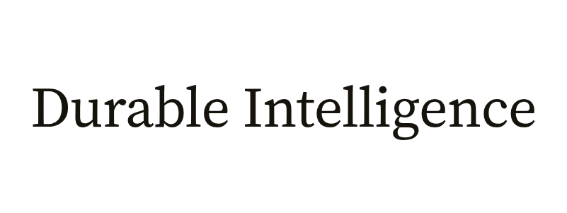 Durable Intelligence Labs