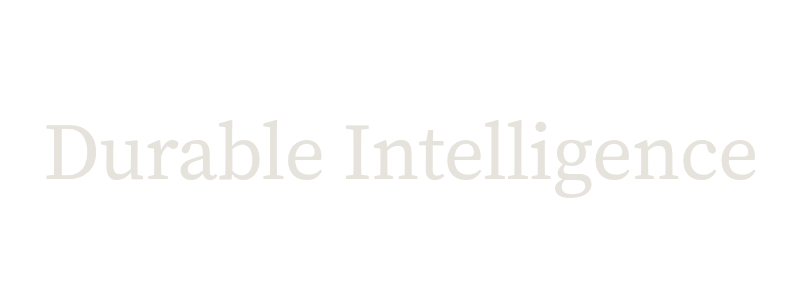 Durable Intelligence Labs